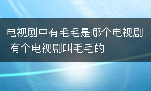 电视剧中有毛毛是哪个电视剧 有个电视剧叫毛毛的