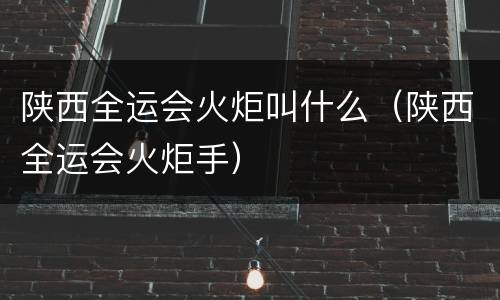 陕西全运会火炬叫什么（陕西全运会火炬手）