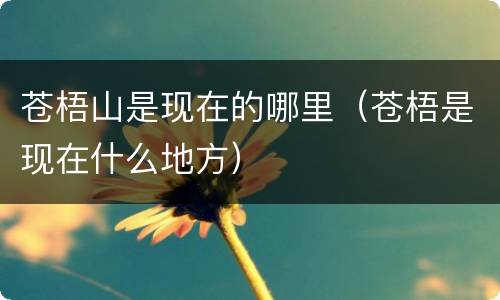 苍梧山是现在的哪里（苍梧是现在什么地方）