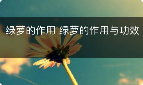 绿萝的作用 绿萝的作用与功效