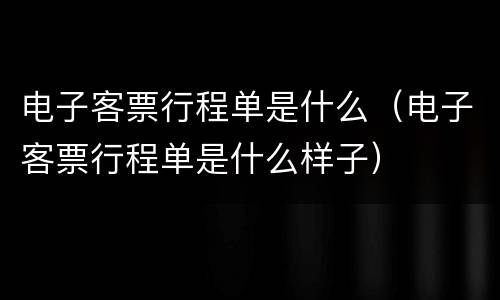 电子客票行程单是什么（电子客票行程单是什么样子）