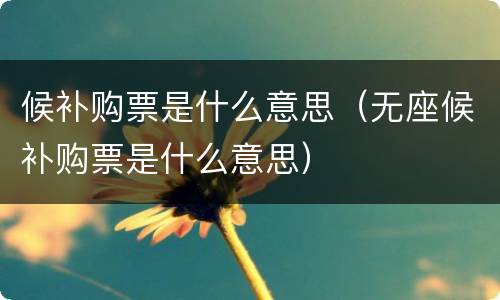 候补购票是什么意思（无座候补购票是什么意思）