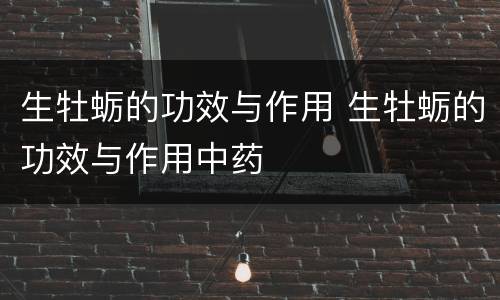 生牡蛎的功效与作用 生牡蛎的功效与作用中药