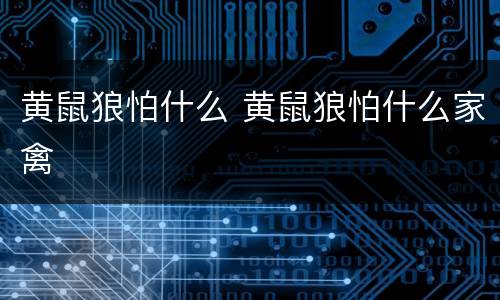黄鼠狼怕什么 黄鼠狼怕什么家禽