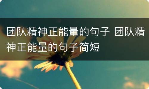 团队精神正能量的句子 团队精神正能量的句子简短