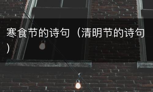 寒食节的诗句（清明节的诗句）