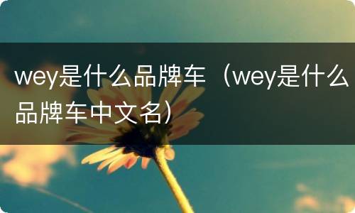wey是什么品牌车（wey是什么品牌车中文名）