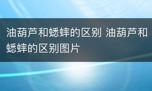 油葫芦和蟋蟀的区别 油葫芦和蟋蟀的区别图片