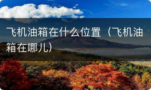 飞机油箱在什么位置（飞机油箱在哪儿）