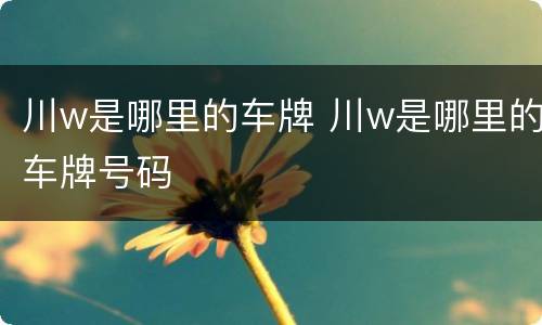 川w是哪里的车牌 川w是哪里的车牌号码