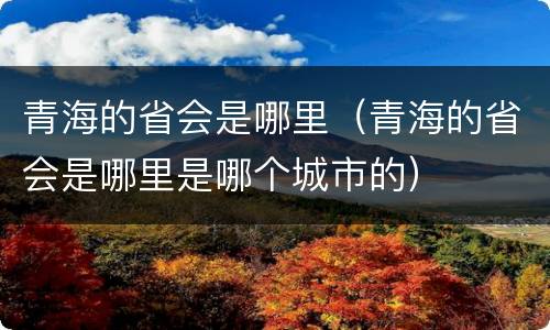 青海的省会是哪里（青海的省会是哪里是哪个城市的）