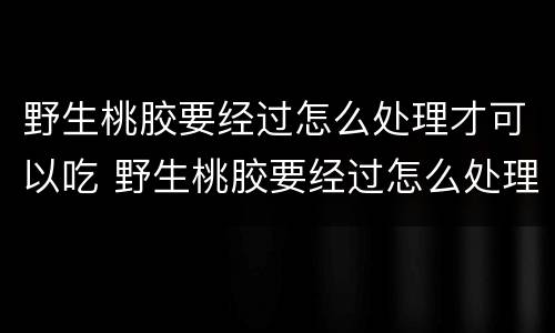 野生桃胶要经过怎么处理才可以吃 野生桃胶要经过怎么处理才可以吃了