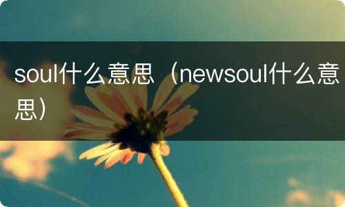 soul什么意思（newsoul什么意思）