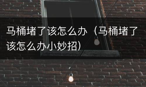 马桶堵了该怎么办（马桶堵了该怎么办小妙招）