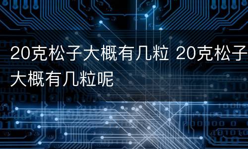 20克松子大概有几粒 20克松子大概有几粒呢