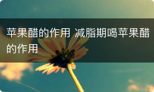 苹果醋的作用 减脂期喝苹果醋的作用