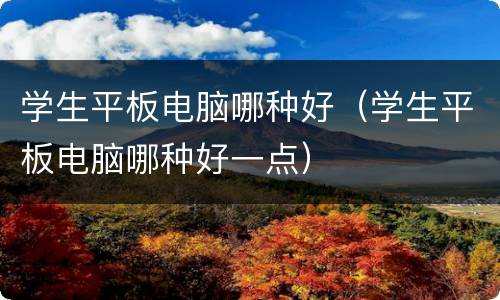 学生平板电脑哪种好（学生平板电脑哪种好一点）