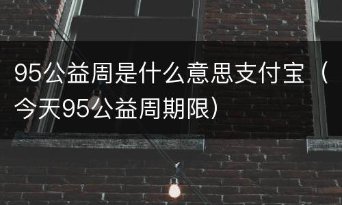 95公益周是什么意思支付宝（今天95公益周期限）
