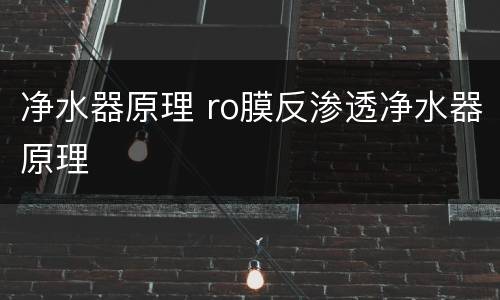 净水器原理 ro膜反渗透净水器原理