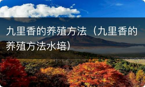九里香的养殖方法（九里香的养殖方法水培）