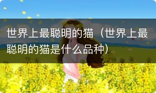 世界上最聪明的猫（世界上最聪明的猫是什么品种）