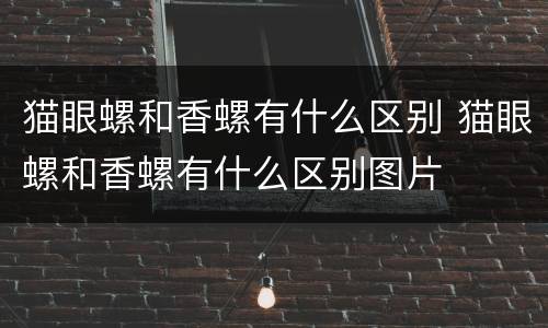 猫眼螺和香螺有什么区别 猫眼螺和香螺有什么区别图片