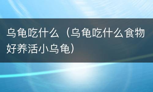 乌龟吃什么（乌龟吃什么食物好养活小乌龟）