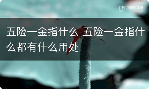 五险一金指什么 五险一金指什么都有什么用处