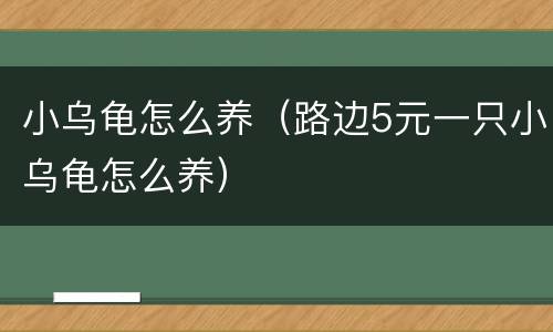 小乌龟怎么养（路边5元一只小乌龟怎么养）