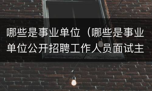 哪些是事业单位（哪些是事业单位公开招聘工作人员面试主考官工作职责）