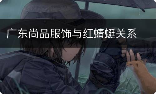 广东尚品服饰与红蜻蜓关系