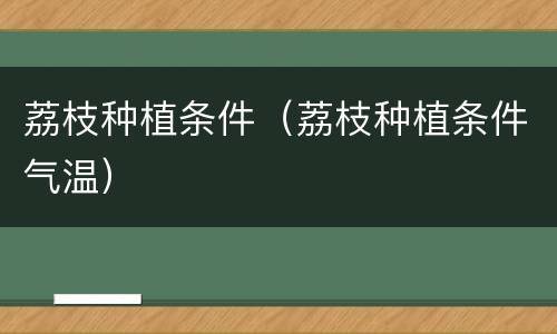 荔枝种植条件（荔枝种植条件气温）
