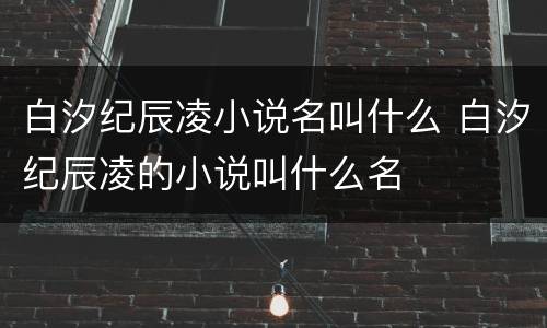 白汐纪辰凌小说名叫什么 白汐纪辰凌的小说叫什么名