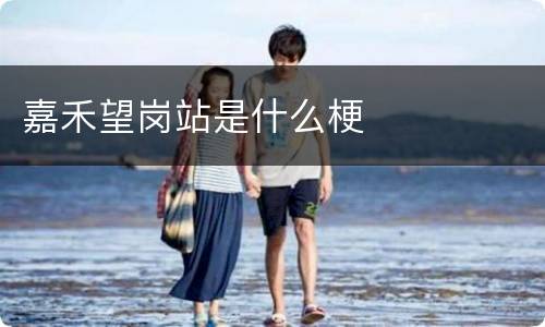嘉禾望岗站是什么梗