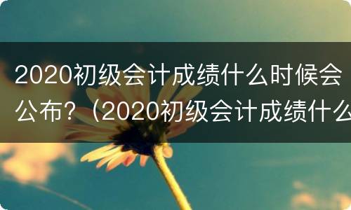 2020初级会计成绩什么时候会公布?（2020初级会计成绩什么时候会公布出来）