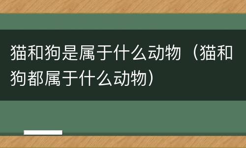 猫和狗是属于什么动物（猫和狗都属于什么动物）