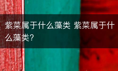 紫菜属于什么藻类 紫菜属于什么藻类?