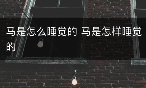 马是怎么睡觉的 马是怎样睡觉的