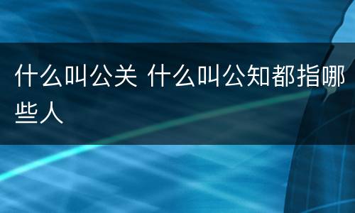 什么叫公关 什么叫公知都指哪些人