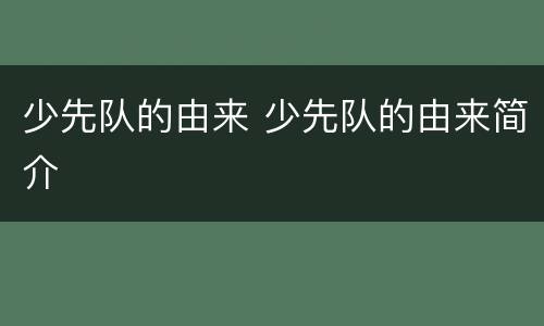 少先队的由来 少先队的由来简介