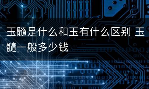 玉髓是什么和玉有什么区别 玉髓一般多少钱