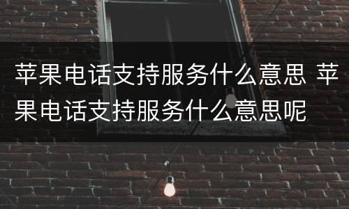 苹果电话支持服务什么意思 苹果电话支持服务什么意思呢