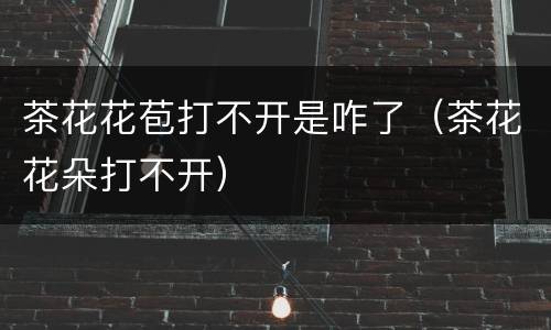 茶花花苞打不开是咋了（茶花花朵打不开）