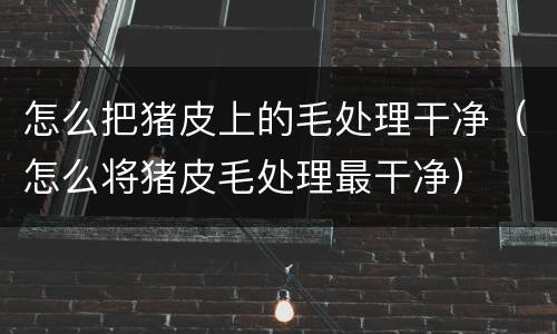 怎么把猪皮上的毛处理干净（怎么将猪皮毛处理最干净）