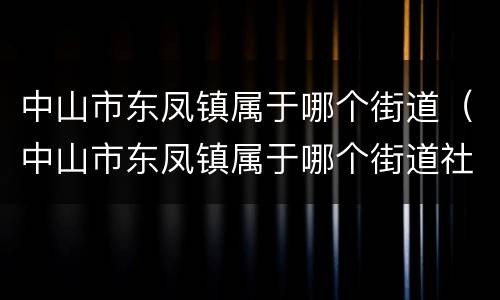 中山市东凤镇属于哪个街道（中山市东凤镇属于哪个街道社区）