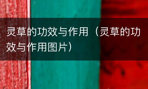 灵草的功效与作用（灵草的功效与作用图片）