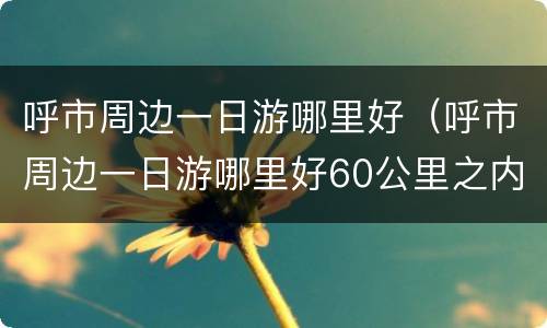呼市周边一日游哪里好（呼市周边一日游哪里好60公里之内）