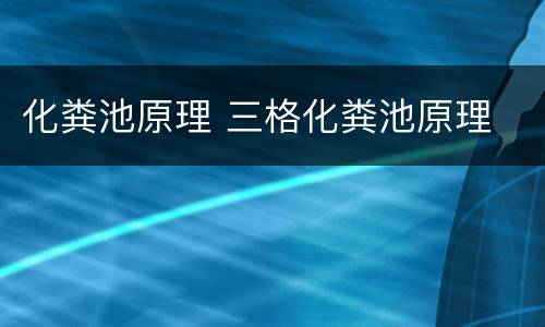 化粪池原理 三格化粪池原理