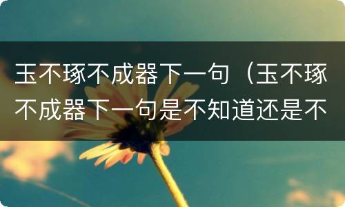 玉不琢不成器下一句（玉不琢不成器下一句是不知道还是不知义）