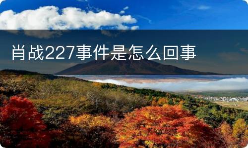 肖战227事件是怎么回事